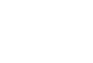 Raising Healthy Families